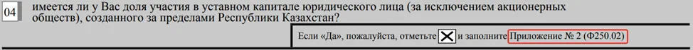 Заполнение доли участия в уставном капитале за рубежом в ФНО 250.00