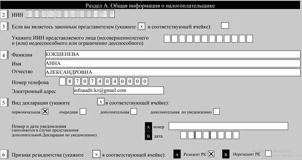 Результат заполнения данных декларанта в ФНО 250.00