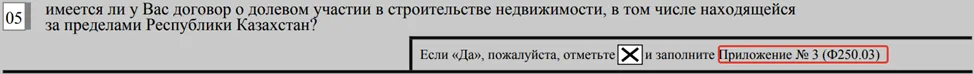 Заполнение долевого участия в строительстве недвижимости в ФНО 250.00