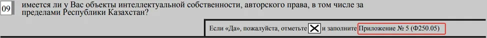 Заполнение объектов интеллектуальной собственности в ФНО 250.00