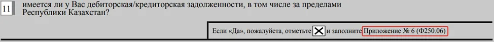 Заполнение дебиторской и кредиторской задолженности в ФНО 250.00