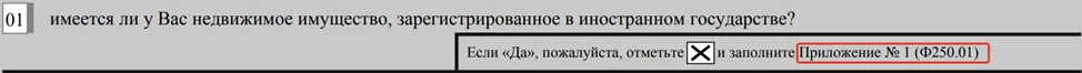 Заполнение недвижимого имущества в иностранном государстве в ФНО 250.00
